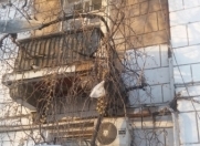 Satılır 2 otaqlı 63 m2 köhnə tikili Bayıl