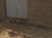 Satılır 12 sot torpaq Türkan