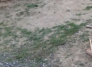 Satılır 3 sot torpaq Sumqayıt