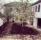 Satılır 7 otaqlı 350 m2 bağ evi Şamaxı