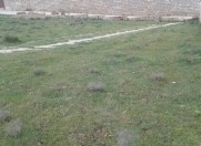 Satılır 12 sot torpaq Kürdəxanı