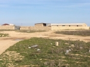 Satılır 30 sot torpaq Binə