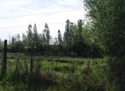 Satılır 14 sot torpaq Qusar