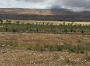 Satılır 1.6 sot torpaq Siyəzən