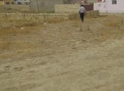 Satılır 3 sot torpaq Masazır