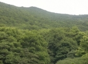 Satılır 6 sot torpaq Xızı