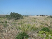 Satılır 120 sot torpaq Nardaran