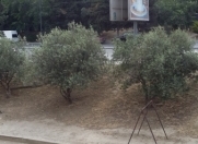 Satılır 2 otaqlı 45 m2 köhnə tikili 2 mkr