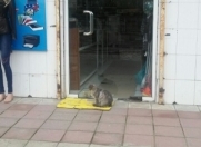 Satılır 3 otaqlı 90 m2 obyekt Bakıxanov