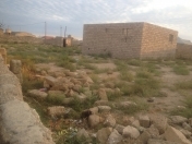 Satılır 4 sot torpaq Binə