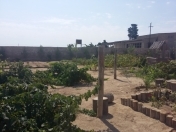 Satılır 25 sot torpaq Zirə