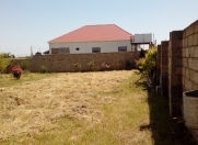 Satılır 15 sot torpaq Məhəmmədli