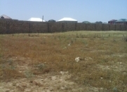 Satılır 10 sot torpaq Məhəmmədli