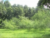 Satılır 2 otaqlı 80 m2 bağ evi Maştağa