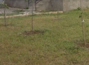 Satılır 4 sot torpaq Şamaxı