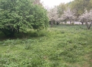 Satılır 10 sot torpaq Qaradağ r.