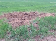 Satılır 500 sot torpaq Xızı