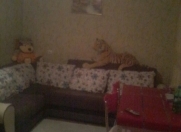 Satılır 3 otaqlı 1.5 m2 bağ evi Binəqədi r.