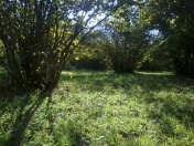 Satılır 2 otaqlı 140 m2 bağ evi Nardaran