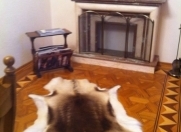 Satılır 7 otaqlı 300 m2 həyət evi AMAY