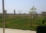 Satılır 150 sot torpaq Zirə