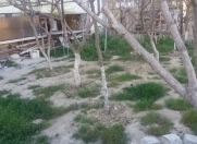 Satılır 4 otaqlı 89 m2 köhnə tikili Lökbatan