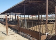 Satılır 137 sot torpaq Maştağa