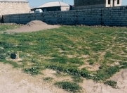 Satılır 2 sot torpaq Y.Suraxanı
