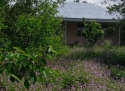 Satılır 3 otaqlı 100 m2 həyət evi İsmayıllı