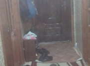 Satılır 3 otaqlı 81 m2 həyət evi Tovuz