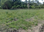 Satılır 10 sot torpaq Naxçıvan