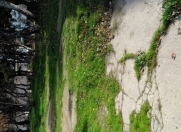 Satılır 10 sot torpaq 6 mkr