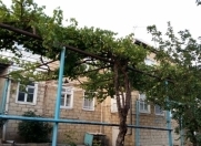 Satılır 8 otaqlı 242 m2 bağ evi Şamaxı