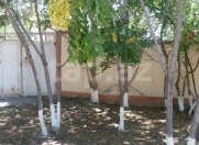 Satılır 10 sot torpaq Naxçıvan