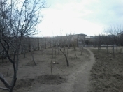 Satılır 8 sot torpaq Pirşağı