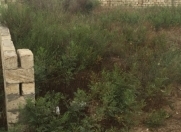 Satılır 10 sot torpaq Pirşağı