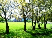 Satılır 20 sot torpaq Qusar