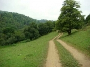 Satılır 40 sot torpaq İsmayıllı