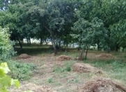 Satılır 4 otaqlı 40 m2 bağ evi Şamaxı