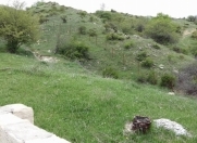 Satılır 12 sot torpaq Şamaxı