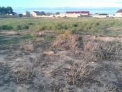 Satılır 3 sot torpaq Ramana