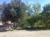 Satılır 40 sot torpaq Məhəmmədli