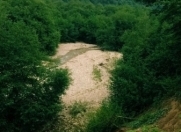 Satılır 12 sot torpaq Quba