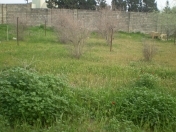 Satılır 10 sot torpaq Bilgəh