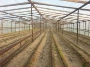 Satılır 50 sot torpaq Xaşaxuna