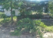 Satılır 3 otaqlı 50 m2 bağ evi Xəzər r.