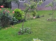 İcarəyə verilir 2 otaqlı 120 m2 bağ evi Qəbələ