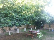İcarəyə verilir 2 otaqlı 70 m2 həyət evi Xaçmaz