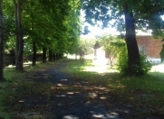 Satılır 45 sot torpaq Zaqatala