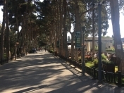 Satılır 1 otaqlı 29.2 m2 yeni tikili Xırdalan